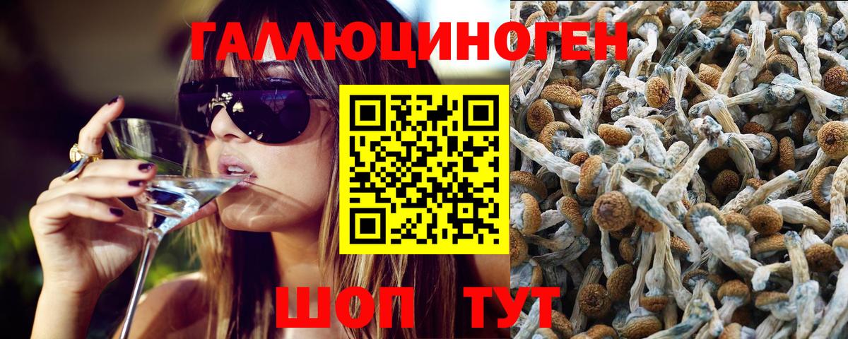 Галлюциногенные грибы мухоморы  Вход с VPN  Шарыпово  Псилоцибиновые грибы GOLDEN TEACHER 