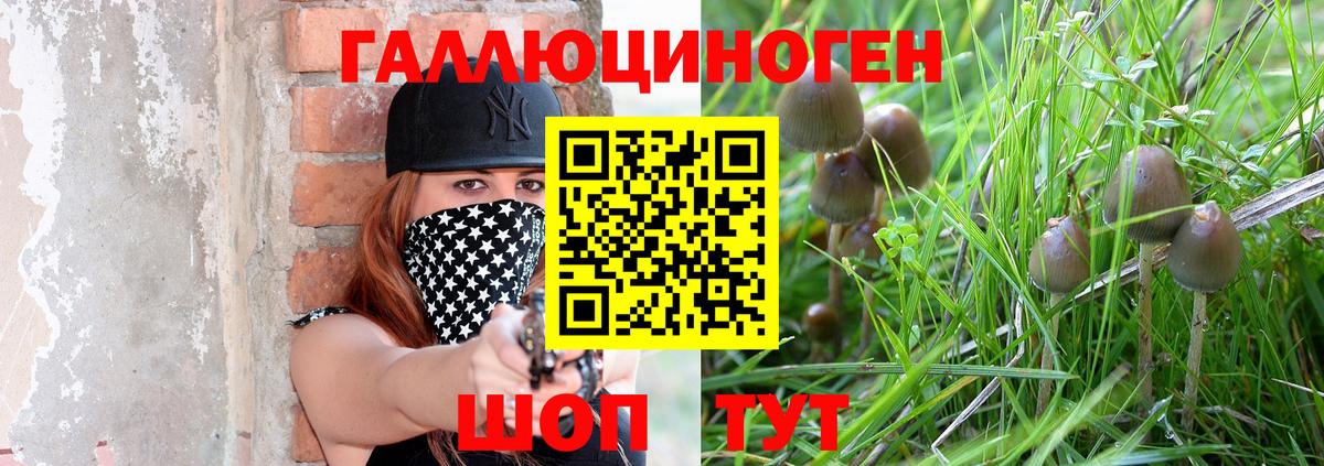 Галлюциногенные грибы Psilocybe Шарыпово
